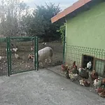 Holiday home Nacor *