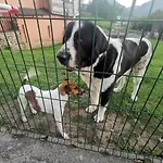 Holiday home Nacor San Mateo (Cantabria)