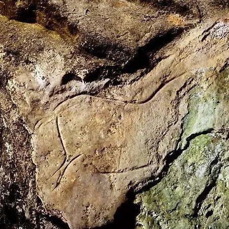 Nacor بيت للعطل *