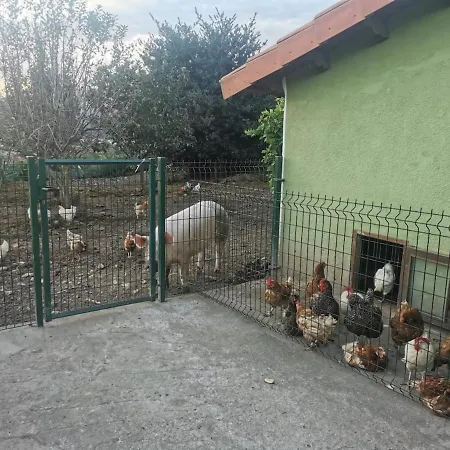 بيت للعطل Nacor *