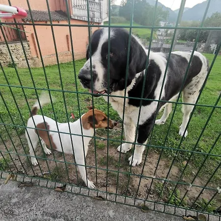 بيت للعطل Nacor San Mateo (Cantabria)