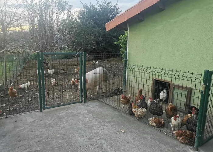 Prázdninový dům Nacor *