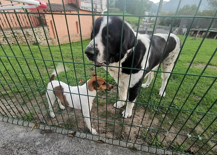 Prázdninový dům Nacor San Mateo (Cantabria)